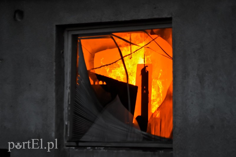 Pali się stolarnia w Dąbrowie, z ogniem walczy około 30 strażaków. zdjęcie nr 220447