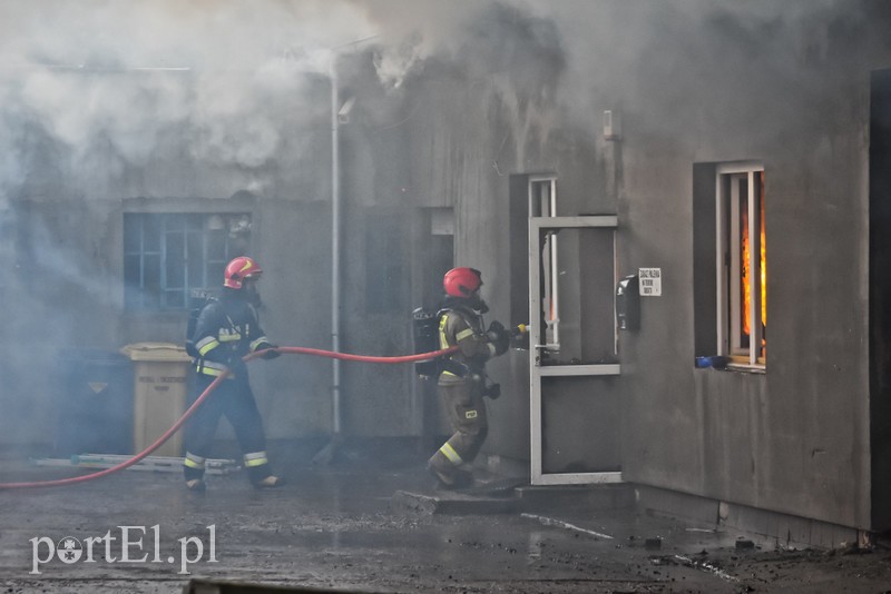 Pali się stolarnia w Dąbrowie, z ogniem walczy około 30 strażaków. zdjęcie nr 220473