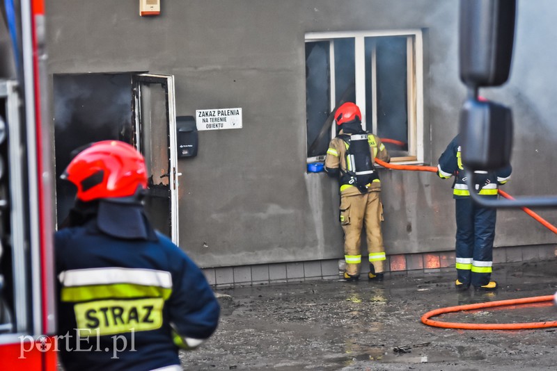 Pali się stolarnia w Dąbrowie, z ogniem walczy około 30 strażaków. zdjęcie nr 220474