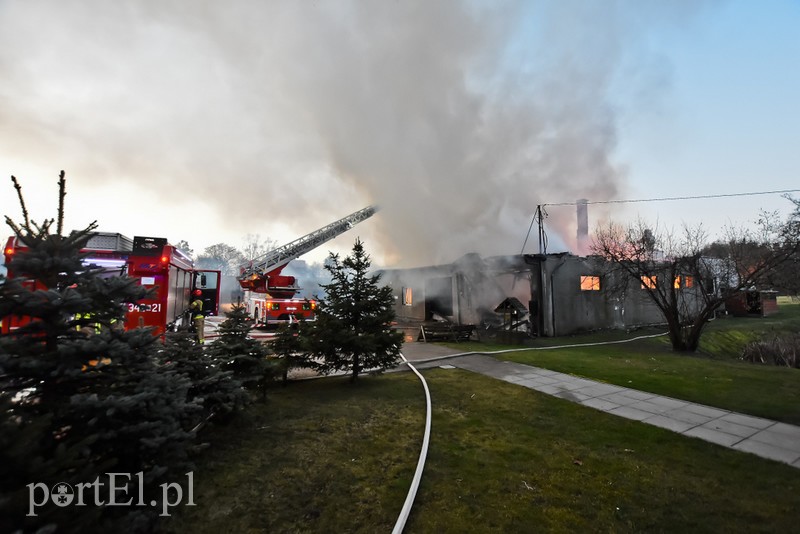 Pali się stolarnia w Dąbrowie, z ogniem walczy około 30 strażaków. zdjęcie nr 220465