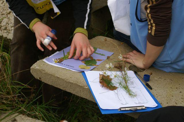 Tolkmickie Dni Papieskie zdjęcie nr 17851