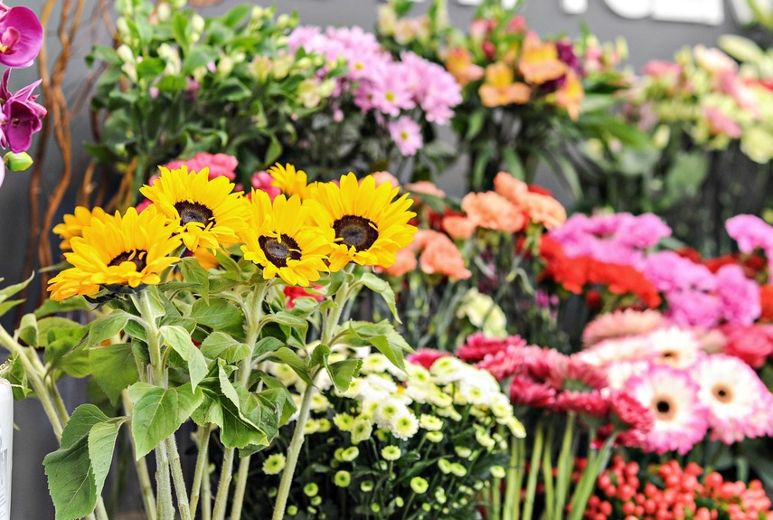  Dzień Kobiet w Kwiaciarni Romantycznej zdjęcie nr 221712