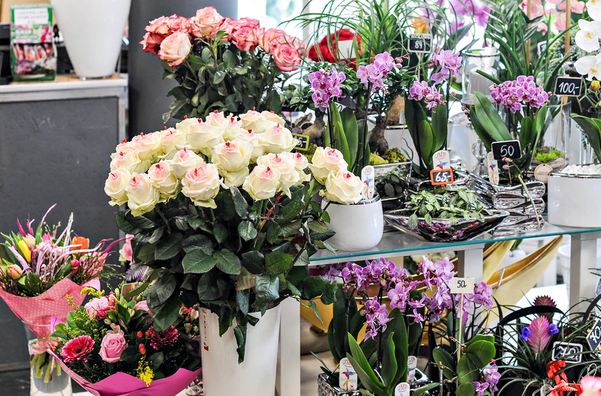  Dzień Kobiet w Kwiaciarni Romantycznej zdjęcie nr 221706