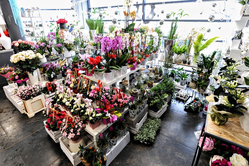  Dzień Kobiet w Kwiaciarni Romantycznej zdjęcie nr 221705