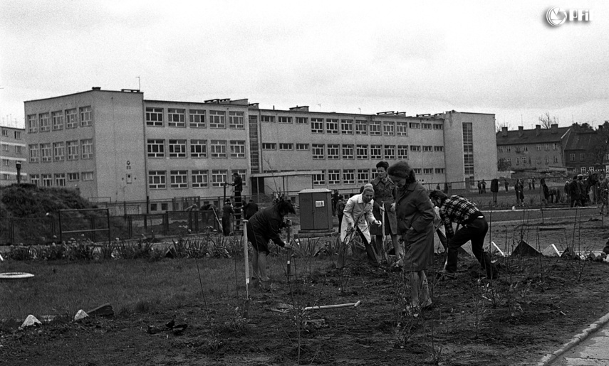Elblążanie w latach 70. na zdjęciach Czesława Misiuka część 2 zdjęcie nr 221815