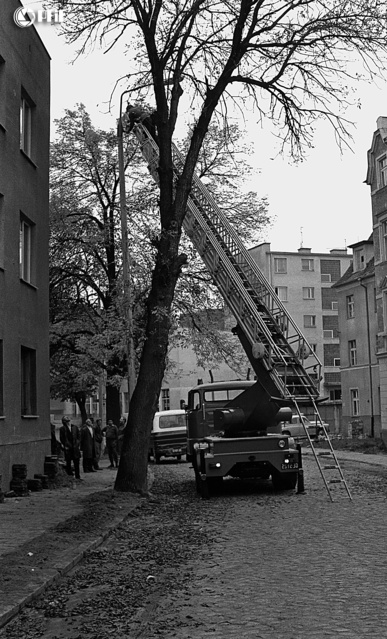 Elblążanie w latach 70. na zdjęciach Czesława Misiuka część 2 zdjęcie nr 221813