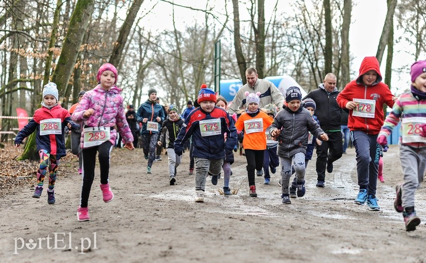 Dzień Kobiet w biegu zdjęcie nr 221856