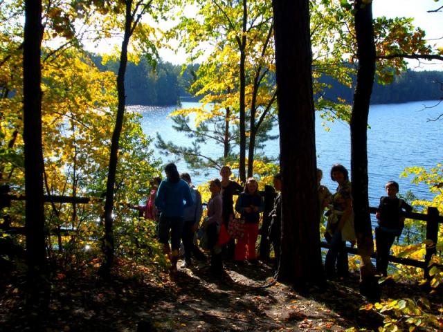 Dreptusie w Borach zdjęcie nr 17888