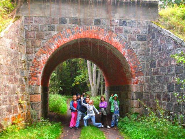 Dreptusie w Borach zdjęcie nr 17890