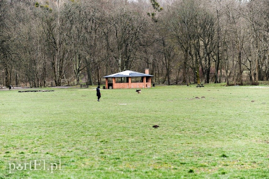 W Elblągu spokojnie, tylko ludzie jakby smutniejsi" zdjęcie nr 222465