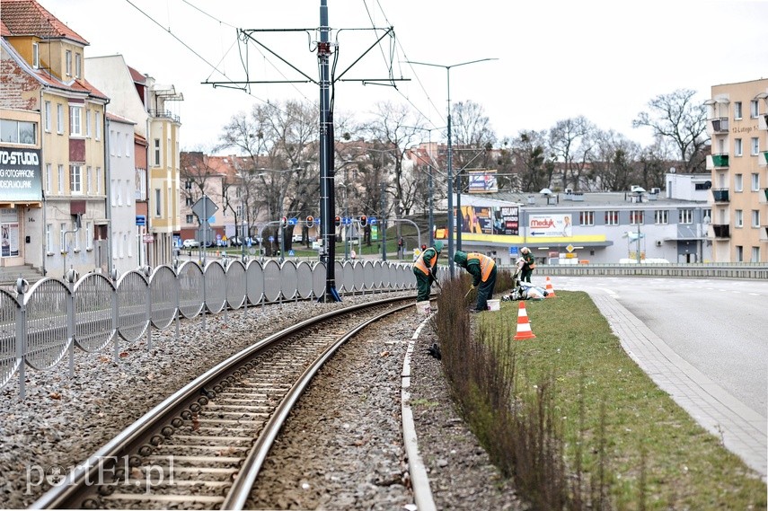 W Elblągu spokojnie, tylko ludzie jakby smutniejsi" zdjęcie nr 222491