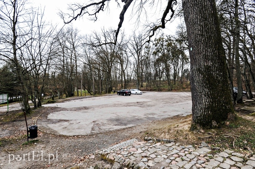 W Elblągu spokojnie, tylko ludzie jakby smutniejsi" zdjęcie nr 222461