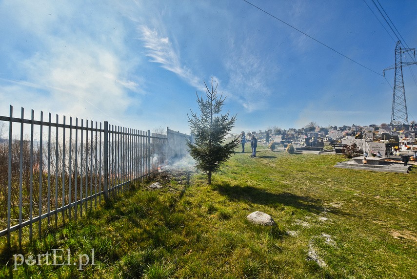 Pożar traw pod cmentarzem Dębica zdjęcie nr 222804