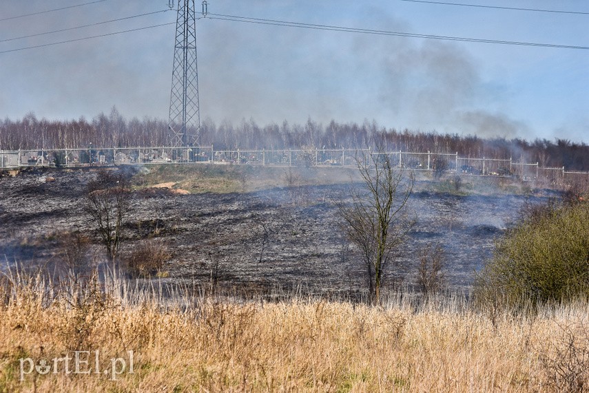 Pożar traw pod cmentarzem Dębica zdjęcie nr 222785