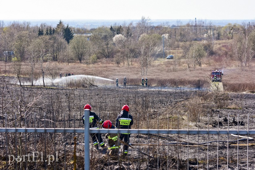 Pożar traw pod cmentarzem Dębica zdjęcie nr 222817