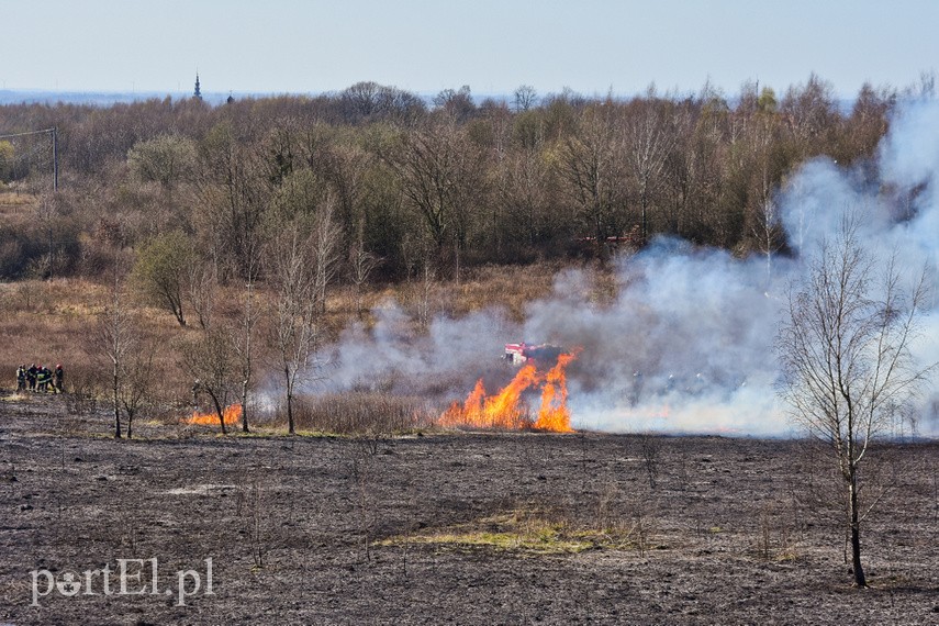 Pożar traw pod cmentarzem Dębica zdjęcie nr 222812