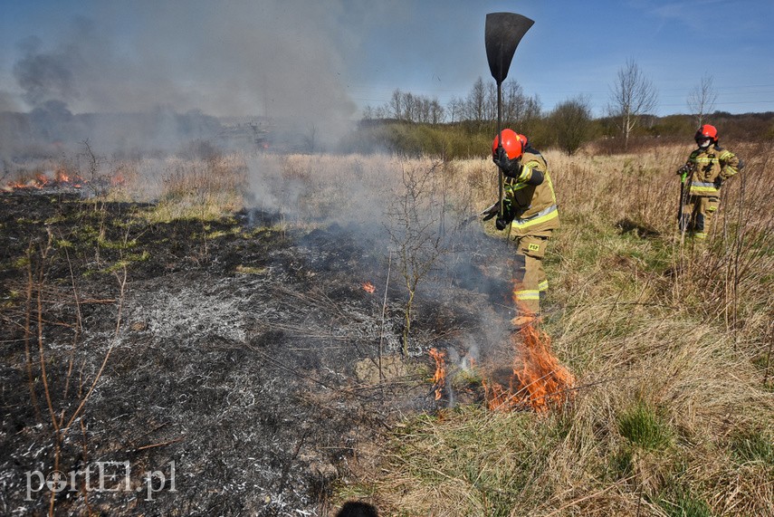 Pożar traw pod cmentarzem Dębica zdjęcie nr 222780