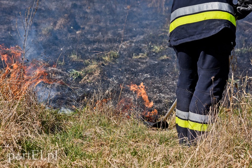 Pożar traw pod cmentarzem Dębica zdjęcie nr 222788