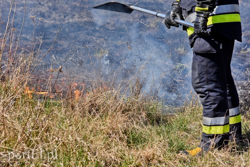 Pożar traw pod cmentarzem Dębica zdjęcie nr 222791