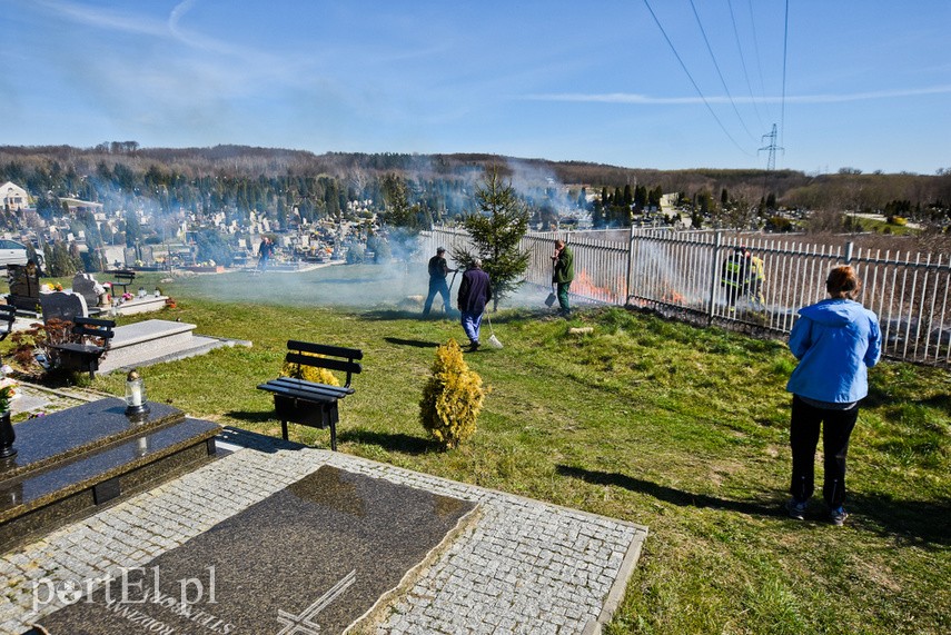 Pożar traw pod cmentarzem Dębica zdjęcie nr 222806