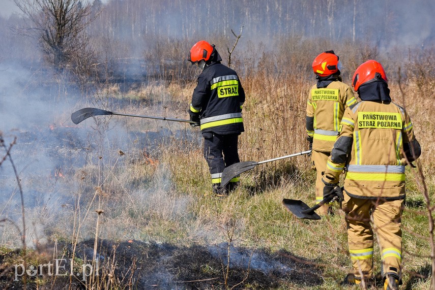 Pożar traw pod cmentarzem Dębica zdjęcie nr 222783