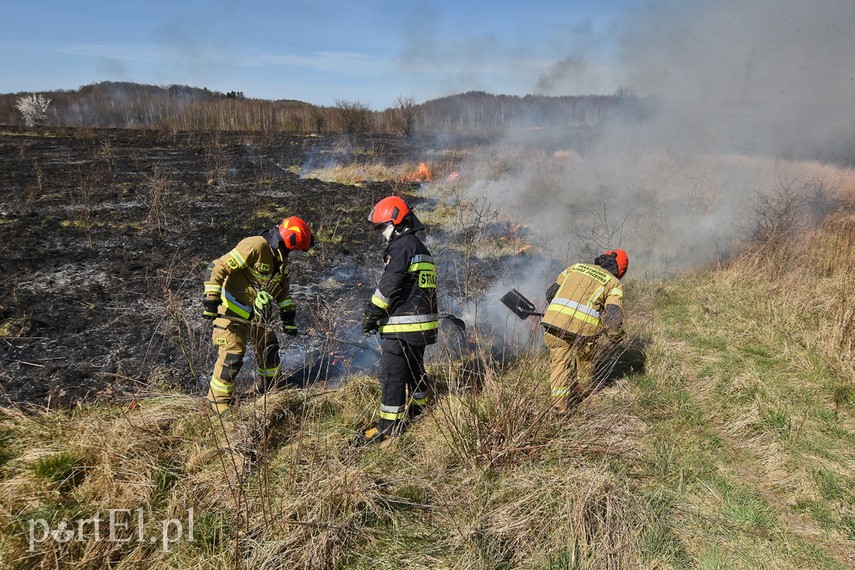 Pożar traw pod cmentarzem Dębica zdjęcie nr 222778