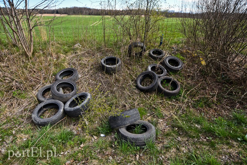 Kto zgubił śmieci? zdjęcie nr 223016