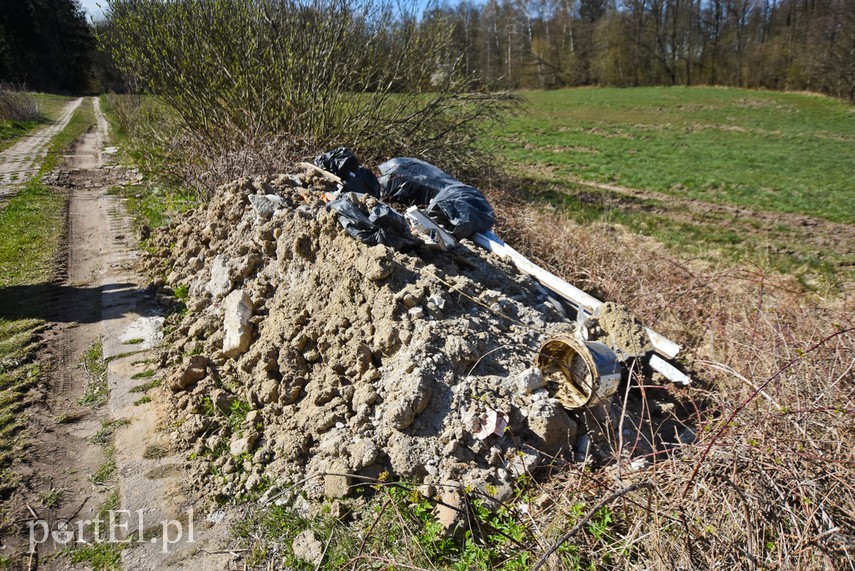 Kto zgubił śmieci? zdjęcie nr 223027