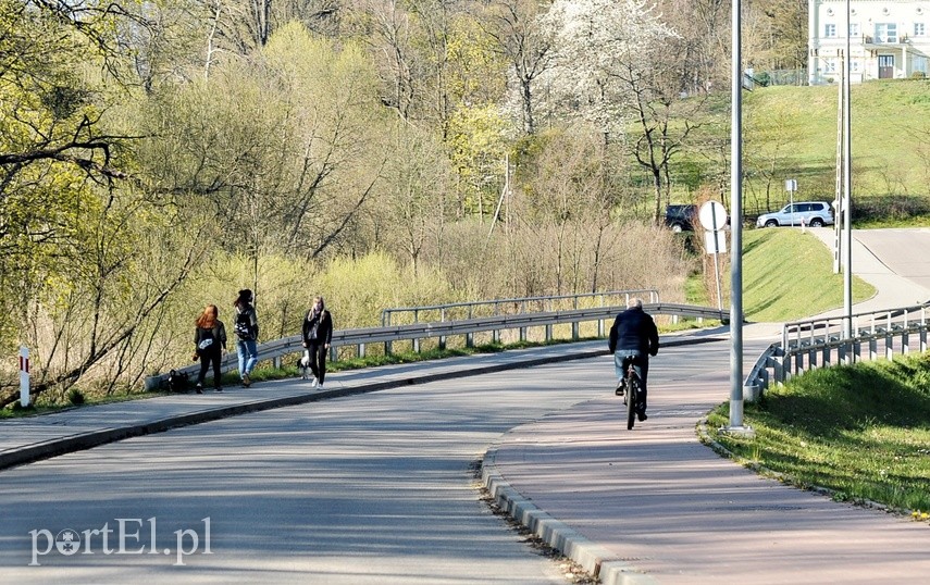 Lasy otwarte, ale bardzo suche zdjęcie nr 223036