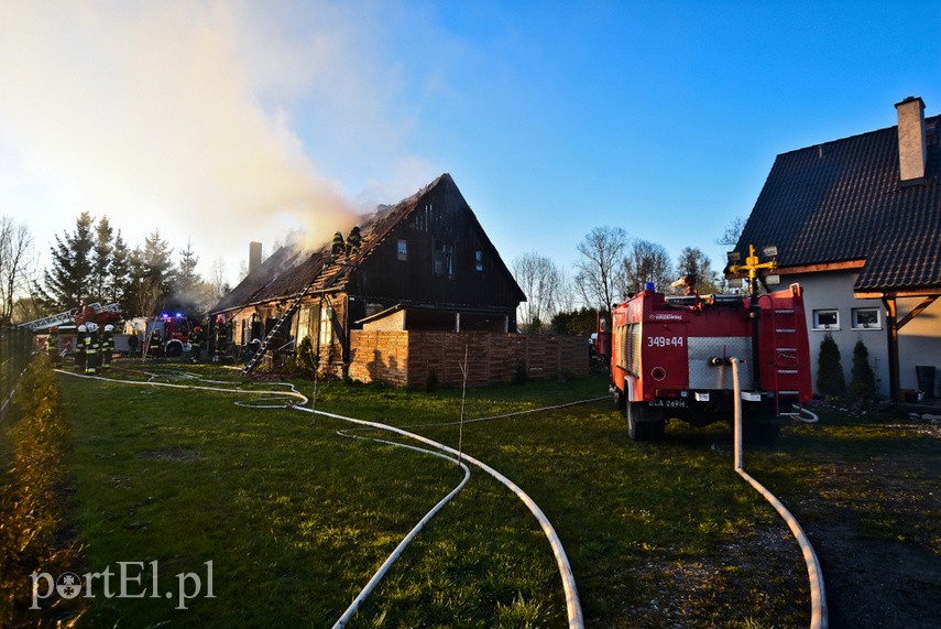 Pożar domu w Wiśniewie, z ogniem walczyło 34 strażaków zdjęcie nr 223108