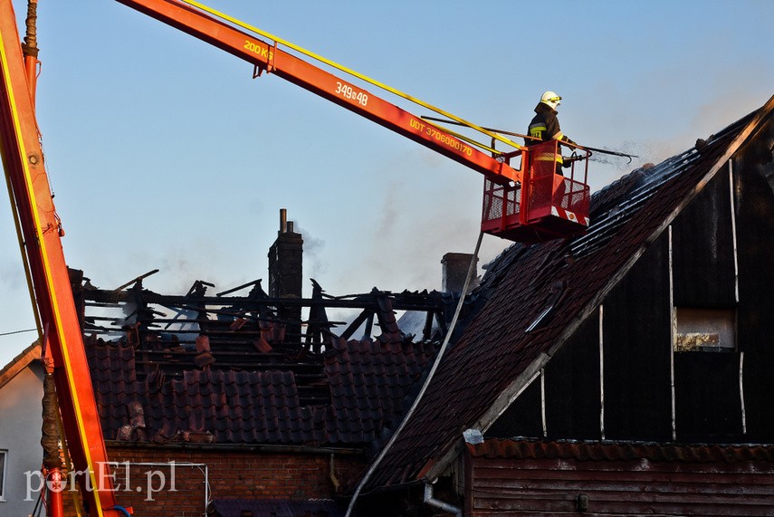 Pożar domu w Wiśniewie, z ogniem walczyło 34 strażaków zdjęcie nr 223101