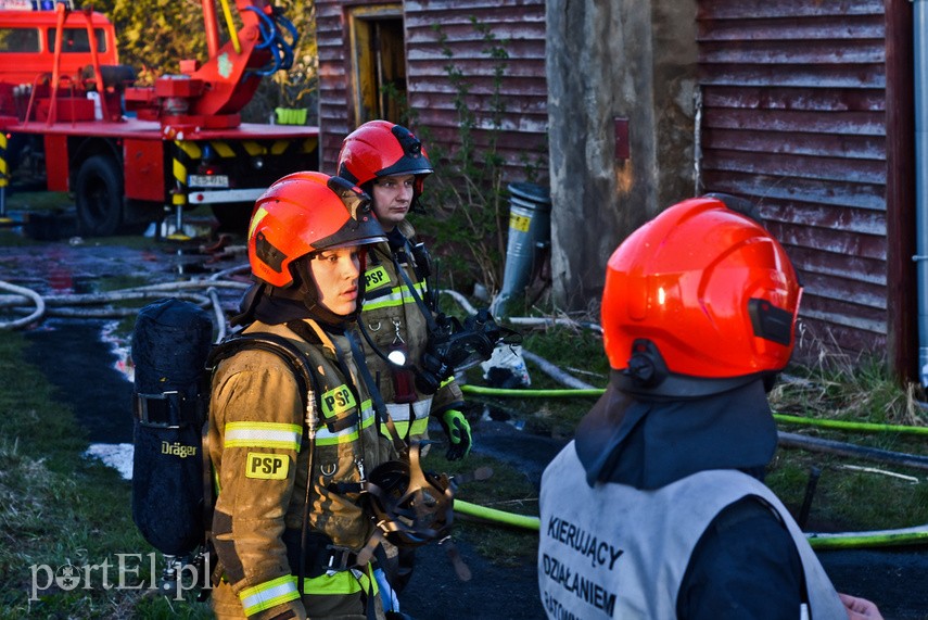 Pożar domu w Wiśniewie, z ogniem walczyło 34 strażaków zdjęcie nr 223103