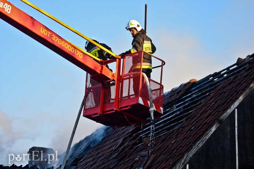 Pożar domu w Wiśniewie, z ogniem walczyło 34 strażaków zdjęcie nr 223098