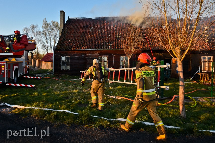 Pożar domu w Wiśniewie, z ogniem walczyło 34 strażaków zdjęcie nr 223109
