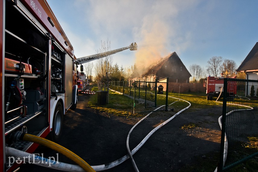 Pożar domu w Wiśniewie, z ogniem walczyło 34 strażaków zdjęcie nr 223090