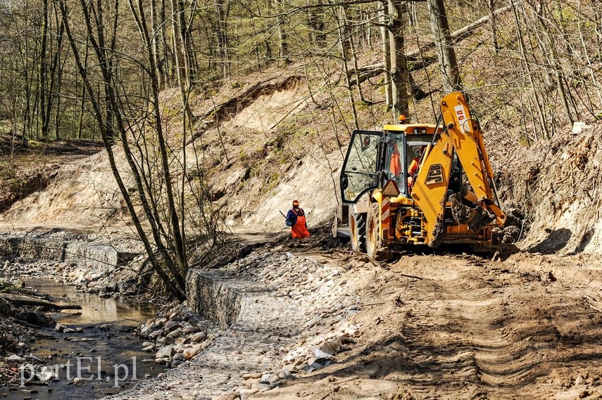 Remont szlaku czerwonego w Bażantarni zdjęcie nr 223128