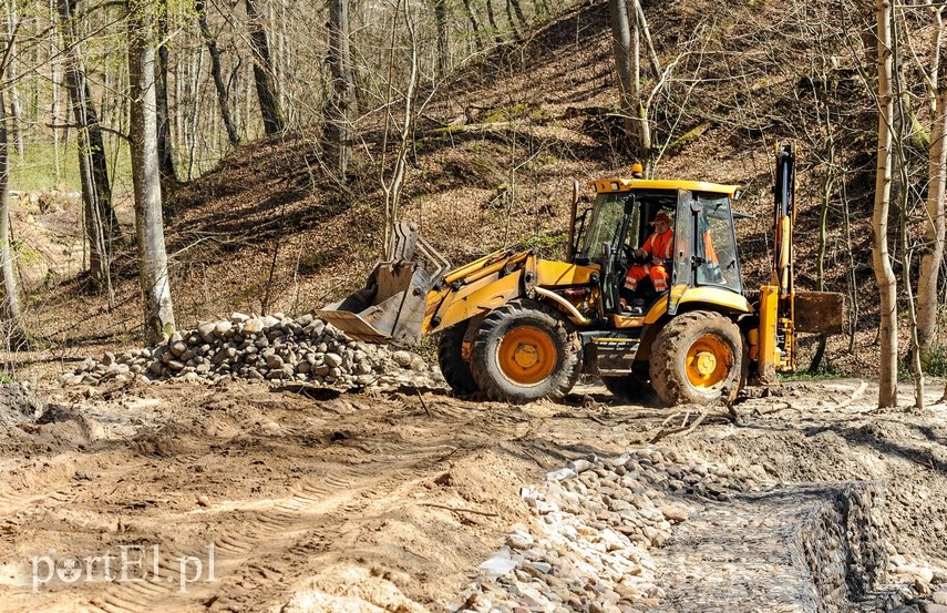 Remont szlaku czerwonego w Bażantarni zdjęcie nr 223127