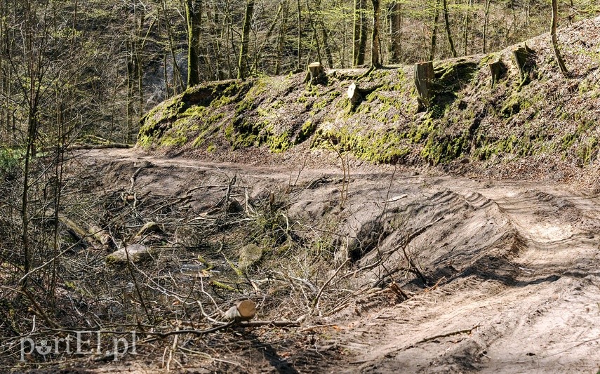 Remont szlaku czerwonego w Bażantarni zdjęcie nr 223137