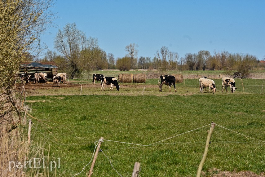 Żeby tylko nie padało zdjęcie nr 223184