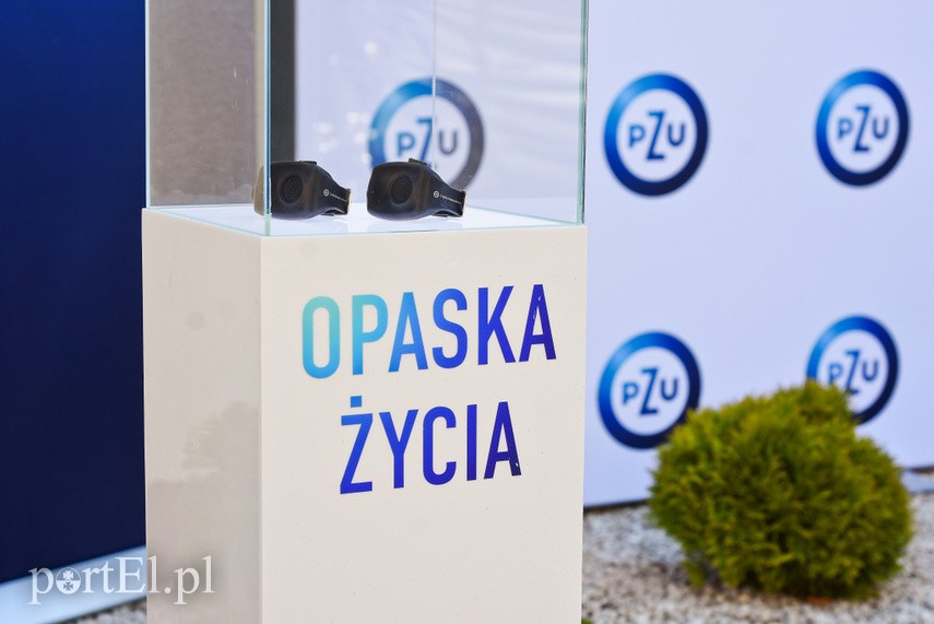 Opaski ratują życie zdjęcie nr 223466