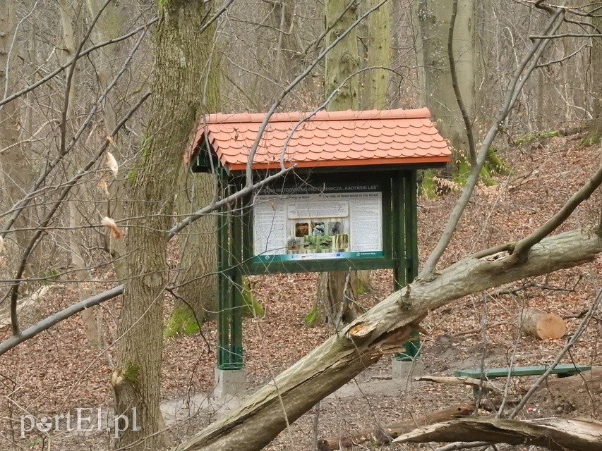 Spacerem po Parku Krajobrazowym Wysoczyzny Elbląskiej zdjęcie nr 223796