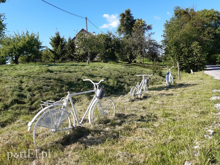 Wycieczka rowerowa do Jagodnika zdjęcie nr 224432