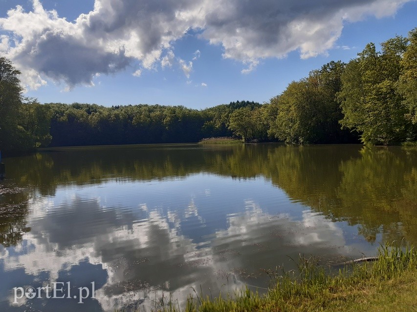 Wycieczka rowerowa do Jagodnika zdjęcie nr 224431