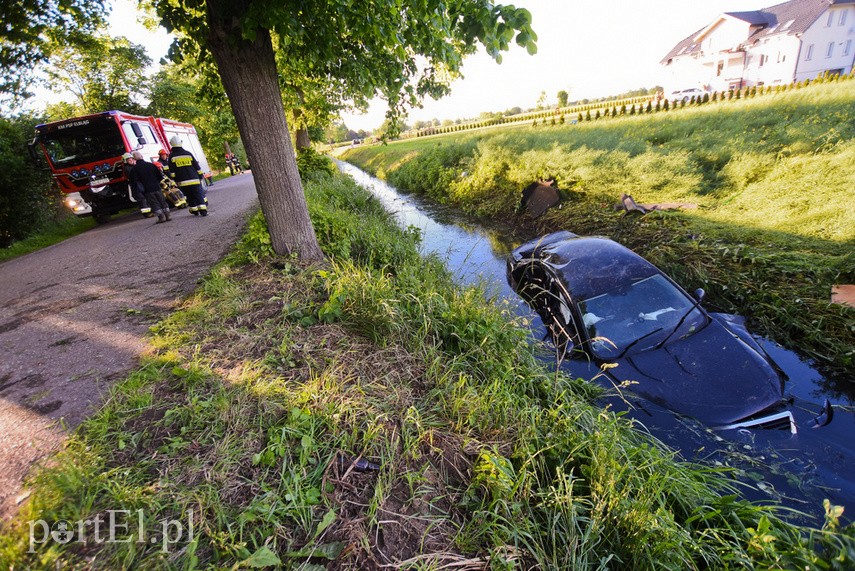 Uderzył w drzewo, wpadł do rowu z wodą i... uciekł zdjęcie nr 224652