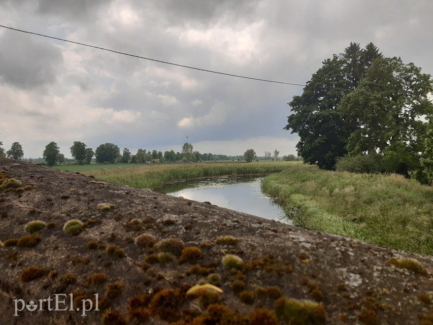 Wycieczka rowerowa po Żuławach Elbląskich zdjęcie nr 224755