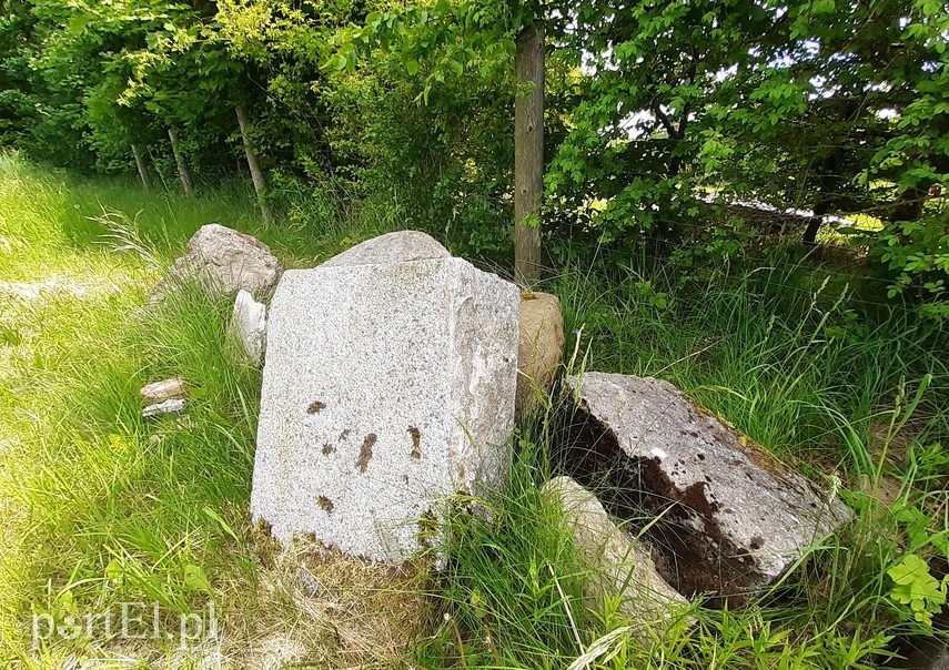 Wycieczka rowerowa Pagórki, Łęcze zdjęcie nr 224901