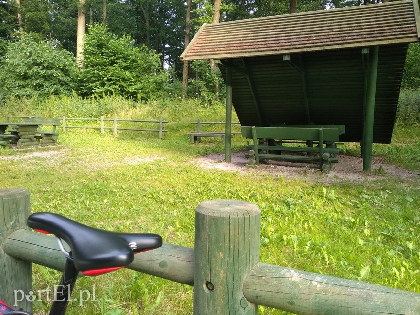 Na rower z portEl.pl: Próchnik zdjęcie nr 225927
