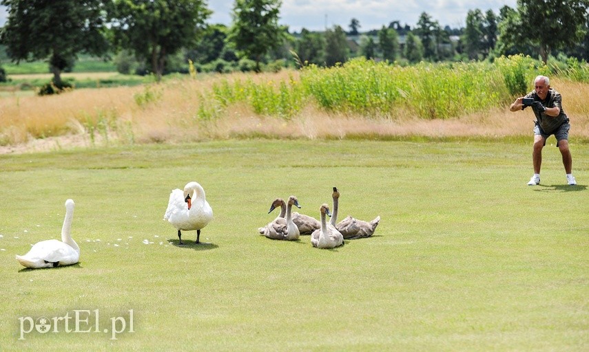 Klubowe mistrzostwa golfa z rekordową frekwencją zdjęcie nr 226418