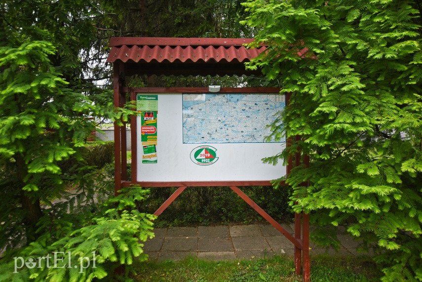 Na elbląskim campingu szukają ciszy i spokoju zdjęcie nr 226438