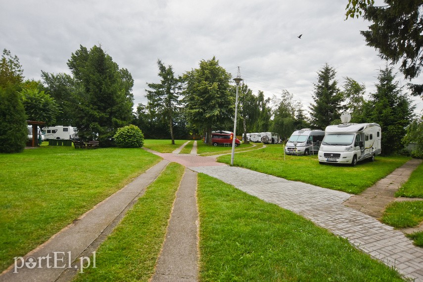 Na elbląskim campingu szukają ciszy i spokoju zdjęcie nr 226441